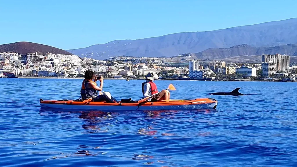 kayaking-los-cristianos-dolphins-turtles-family-eco-turism