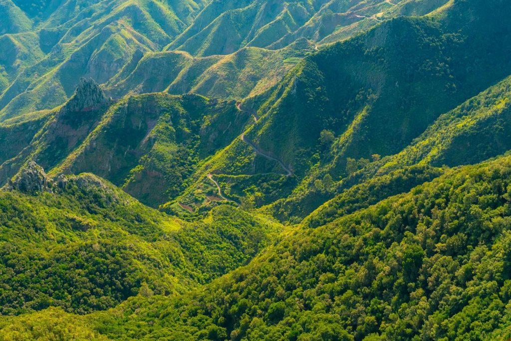 scenic-mountains-covered-with-forest-winding-road-anaga-rural-park-sunny-day-tenerife-spain
