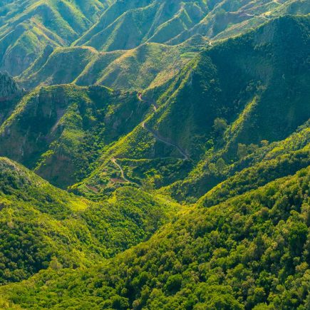 scenic-mountains-covered-with-forest-winding-road-anaga-rural-park-sunny-day-tenerife-spain