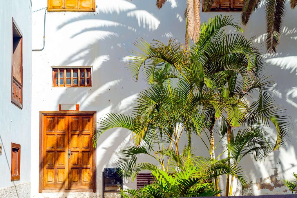 small-spanish-patio-with-palm-trees-banch-old-wooden-door-windows-garachico-tenerife-spain