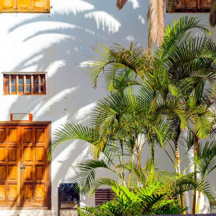 small-spanish-patio-with-palm-trees-banch-old-wooden-door-windows-garachico-tenerife-spain